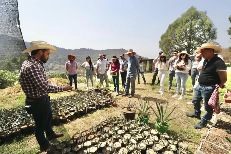 Un productor explica su vivero de agave a un grupo durante un recorrido de campo